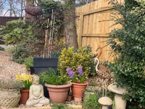 Photo 21- click for photo gallery